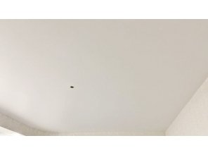 Монтаж потолка в гостиной 14 м2 с использованием пленки VIPCEILING серии MONLANGE M9001 (3.25)