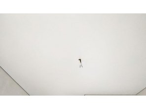 Монтаж потолка в прихожей 8 м2 с использованием пленки VIPCEILING серии MONLANGE M9001 (2.60)