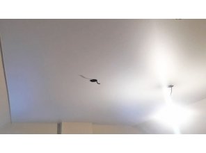 Монтаж потолка в деревянном доме 14 м2 с использованием пленки VIPCEILING серии MONLANGE M9001 (2.15)