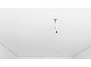 Монтаж потолка в спальне 14 м2 с использованием пленки VIPCEILING серии MONLANGE S9020 (3.25)