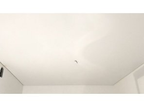 Монтаж потолка на кухне 16 м2 с использованием пленки VIPCEILING серии MONLANGE M9001 (3.25)