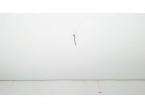 Монтаж потолка в коридоре 4 м2 с использованием пленки VIPCEILING серии MONLANGE M9001 (2.15)