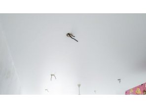 Монтаж потолка в спальне 18 м2 с использованием пленки VIPCEILING серии MONLANGE S9020 (3.25)