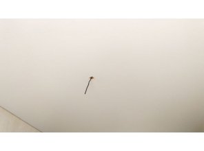 Монтаж потолка на кухне 11 м2 с использованием пленки VIPCEILING серии MONLANGE M9001 (3.50)