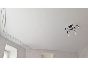 Матовый натяжной потолок в гостиную 19,8 м2