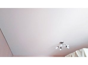 Бесшовный матовый натяжной потолок в гостиную 17,3 м2