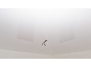 Бесшовный глянцевый натяжной потолок для зала 14,9 м2