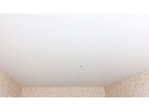 Бесшовный матовый натяжной потолок в спальню 19,9 м2