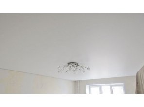 Бесшовный матовый натяжной потолок в гостиную 20,5 м2