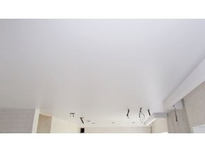 Бесшовный матовый натяжной потолок на кухню 29,7 м2