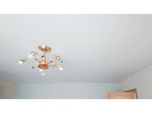 Бесшовный матовый натяжной потолок в гостиную 16,8 м2