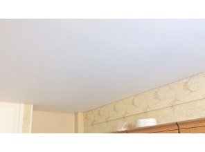 Бесшовный матовый натяжной потолок в гостиную 14,5 м2