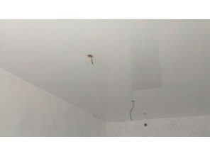 Бесшовный глянцевый натяжной потолок в спальню 15,9 м2