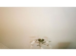 Бесшовный глянцевый натяжной потолок в гостиную 14,2 м2