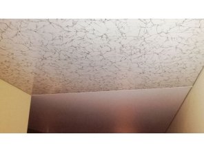 Комбинированный натяжной потолок в прихожую 19,3 м2