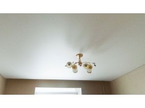 Бесшовный матовый натяжной потолок для зала 13,2 м2