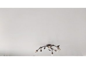 Монтаж потолка для зала 18 м2 с использованием пленки VIPCEILING серии MONLANGE S9020 (4.35)