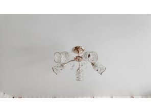 Монтаж потолка для зала 19 м2 с использованием пленки VIPCEILING серии MONLANGE M9001 (4.35)