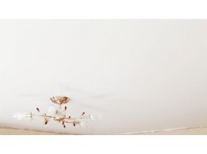 Монтаж потолка в гостиной 18 м2 с использованием пленки VIPCEILING серии MONLANGE S9020 (3.50)